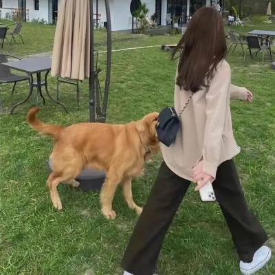 遗留搜查第七季
